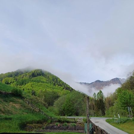 Wohnung Im Nationalpark Kalkalpen 3 Reichraming 外观 照片