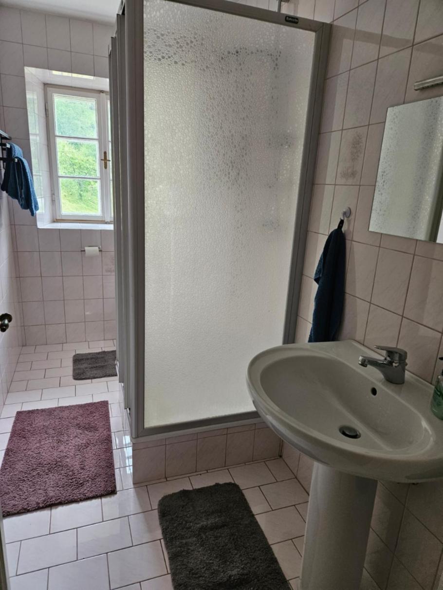 Wohnung Im Nationalpark Kalkalpen 3 Reichraming 外观 照片
