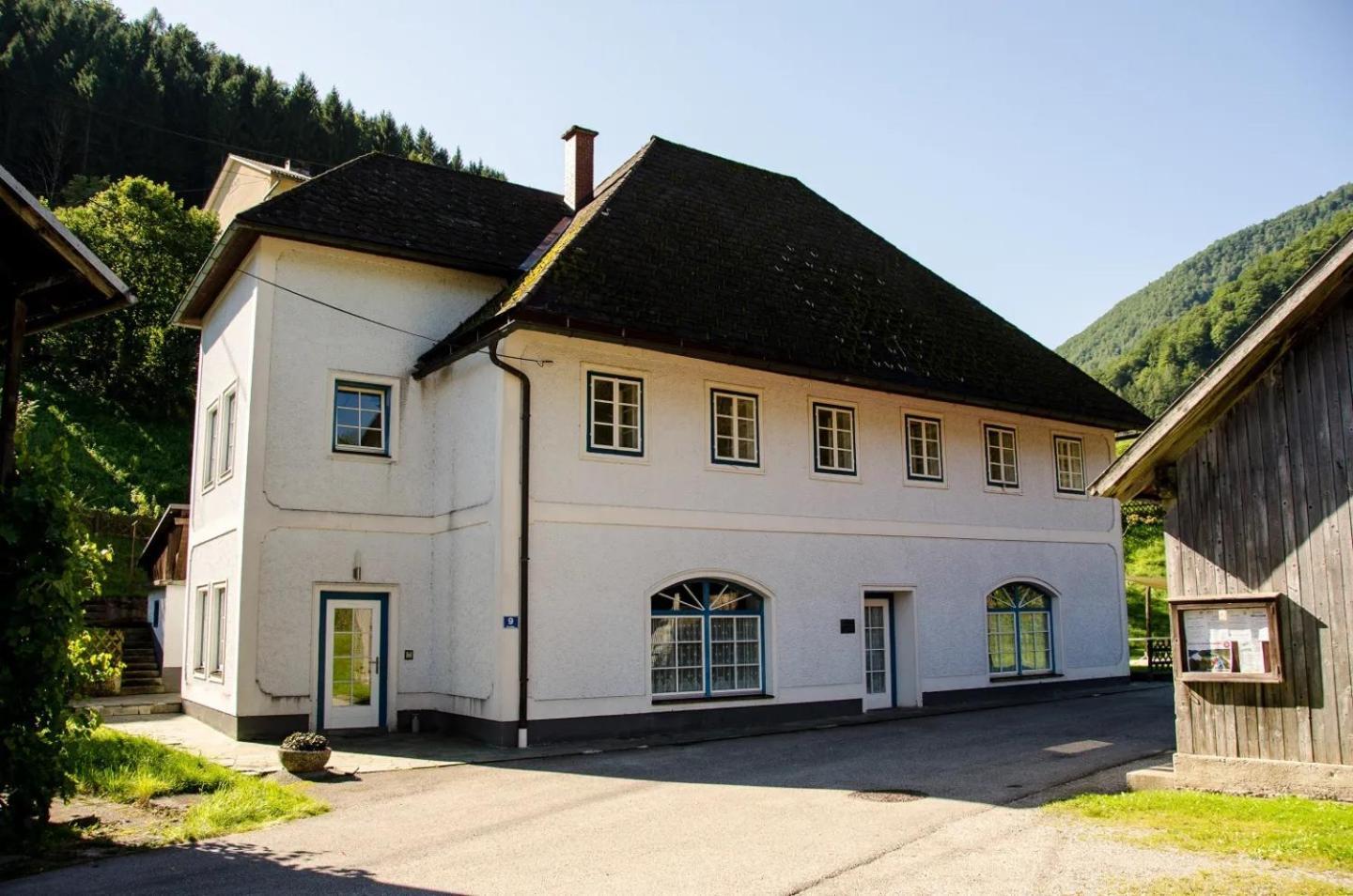 Wohnung Im Nationalpark Kalkalpen 3 Reichraming 外观 照片